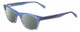 Profile View of Jones New York J229 Designer Polarized Sunglasses with Custom Cut Smoke Grey Lenses in Blue Ladies Oval Full Rim Acetate 48 mm