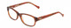 Profile View of Lucky Brand Busy Bee Womens Cateye Reading Glasses in Brown Crystal Caramel 49mm