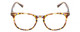 Front View of Prive Revaux Show Off Single Designer Reading Eye Glasses with Custom Cut Powered Lenses in Multi Tortoise Havana Crystal Ladies Round Full Rim Acetate 48 mm