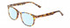 Profile View of Prive Revaux Show Off Single Designer Blue Light Blocking Eyeglasses in Multi Tortoise Havana Crystal Ladies Round Full Rim Acetate 48 mm