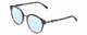 Profile View of Chopard VCH239 Designer Progressive Lens Blue Light Blocking Eyeglasses in Grey Crystal Mosaic/Sparkles/Black Gunmetal Ladies Round Full Rim Acetate 50 mm