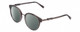 Profile View of Chopard VCH239 Designer Polarized Reading Sunglasses with Custom Cut Powered Smoke Grey Lenses in Grey Crystal Mosaic/Sparkles/Black Gunmetal Ladies Round Full Rim Acetate 50 mm