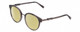 Profile View of Chopard VCH239 Designer Polarized Reading Sunglasses with Custom Cut Powered Sun Flower Yellow Lenses in Grey Crystal Mosaic/Sparkles/Black Gunmetal Ladies Round Full Rim Acetate 50 mm