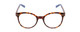 Front View of Kate Spade KAYLIN Womens Round Reading Glasses Brown Amber Tortoise Havana 49 mm