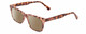 Profile View of Prive Revaux Expert Designer Polarized Reading Sunglasses with Custom Cut Powered Amber Brown Lenses in Blush Pink Brown Crystal Tortoise Havana Unisex Rectangle Full Rim Acetate 50 mm