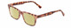 Profile View of Prive Revaux Expert Designer Polarized Reading Sunglasses with Custom Cut Powered Sun Flower Yellow Lenses in Blush Pink Brown Crystal Tortoise Havana Unisex Rectangle Full Rim Acetate 50 mm