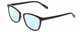 Profile View of Prive Revaux Lolita Designer Progressive Lens Blue Light Blocking Eyeglasses in Gloss Caviar Black/Rose Gold Ladies Cateye Full Rim Acetate 51 mm