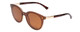 Profile View of Prive Revaux Casablanca Cateye Sunglasses Brown Crystal Gold/Polarize Amber 51mm