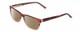Profile View of Ernest Hemingway H4682 Designer Polarized Reading Sunglasses with Custom Cut Powered Amber Brown Lenses in Burgundy Red Rose Fade Ladies Square Full Rim Acetate 53 mm