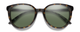 Front View of Smith Cheetah Cateye Sunglass Tortoise/Photochromic CP Polarized Gray Geen 54 mm