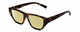 Profile View of Kendall+Kylie KK5131CE BLAKE Designer Polarized Reading Sunglasses with Custom Cut Powered Sun Flower Yellow Lenses in Brown Demi Tortoise Havana Ladies Rectangular Full Rim Acetate 54 mm