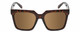 Front View of Kendall+Kylie COLLEEN Womens Sunglasses Amber Tortoise Havana Crystal/Brown 54mm