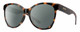 Profile View of Smith Optics Fairground-086 Designer Polarized Sunglasses with Custom Cut Smoke Grey Lenses in Dark Tortoise Havana Brown Amber Ladies Round Full Rim Acetate 55 mm