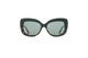 Front View of Reptile Liana Women Butterfly Polarize Sunglasses Black Tokyo Tortoise/Grey 55mm