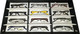 Body Glove Designer Eyeglasses WHOLESALE 12 PIECE LOT Nice Selection Retail$1199