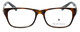 Argyleculture Designer Eyeglasses Tatum in Tortoise