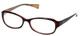 Paul Smith Designer Eyeglasses PS289-OABL in Tortoise Orange 53mm