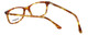 Esquire Designer Eyeglasses EQ1508 in Light-Tortoise 51mm