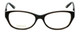 Silver Dollar Designer Eyeglasses Cashmere 455 in Charcoal 53mm