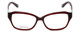 Silver Dollar Designer Eyeglasses Cashmere 467 in Auburn 53mm