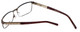 Eddie-Bauer Designer Eyeglasses EB8374 in Brown 56mm