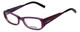 Converse Designer Eyeglasses Composition in Purple 53mm