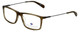 Argyleculture Designer Eyeglasses Seger in Olive 54mm