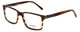 Big and Tall Designer Eyeglasses Big-And-Tall-14-Demi-Brown in Demi Brown 58mm