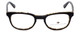 Argyleculture Designer Eyeglasses Paxton in Black 50mm