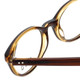 Ecru Designer Eyeglasses Daltrey-004 in Brown 50mm
