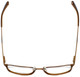 Converse Designer Eyeglasses Q013-Brown in Brown 51mm