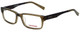 Converse Designer Eyeglasses Yikes-Olive in Olive 50mm