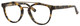 Ernest Hemingway Designer Eyeglasses H4804-ANT in Antique 47mm