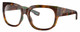 Profile View of Costa Del Mar Waterwoman Designer Single Vision Prescription Rx Eyeglasses in Shiny Palm Brown Teal Green Tortoise Havana Ladies Cat Eye Full Rim Acetate 55 mm