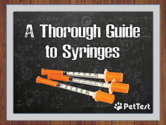 A Thorough Guide to Syringes