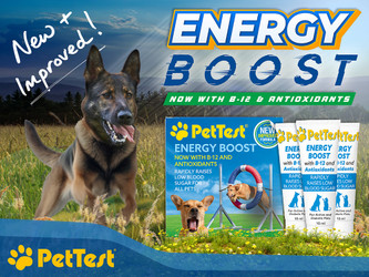 Energy Boost for Pets