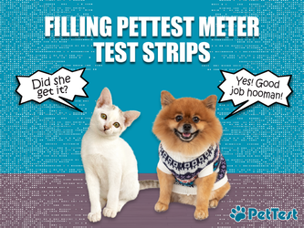 Filling PetTest Blood Glucose Test Strips