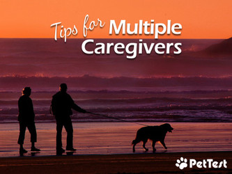 Tips for Multiple Caregivers