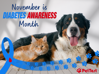 November is Diabetes Awareness Month