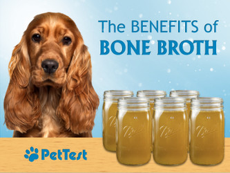 The Benefits of Bone Broth