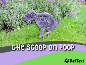 The Scoop on Poop