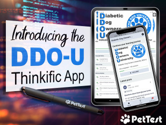 Introducing the DDO-U Thinkific App