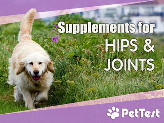 Supplements for Hips & Joints