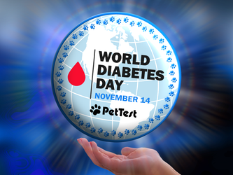World Diabetes Day