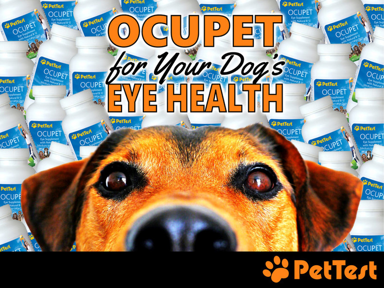 OCUPET for Your Dog’s Eye Health