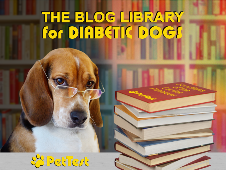 The Blog Library for Diabetic Dogs