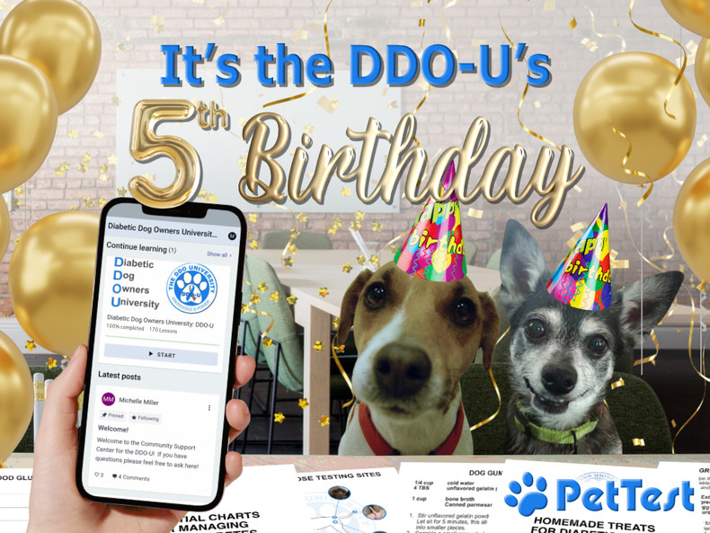 It's the DDO-U's 5th Birthday!