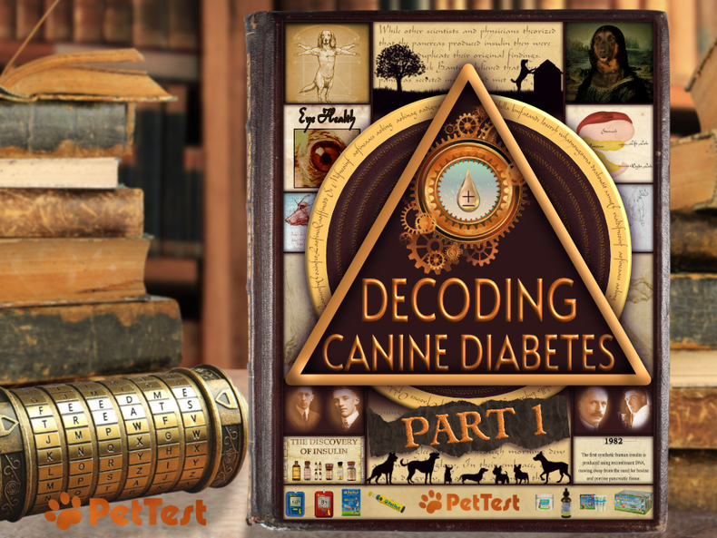 Decoding Canine Diabetes Part 1