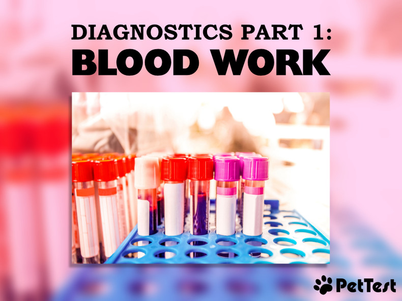 Diagnostics Part 1: Blood Work