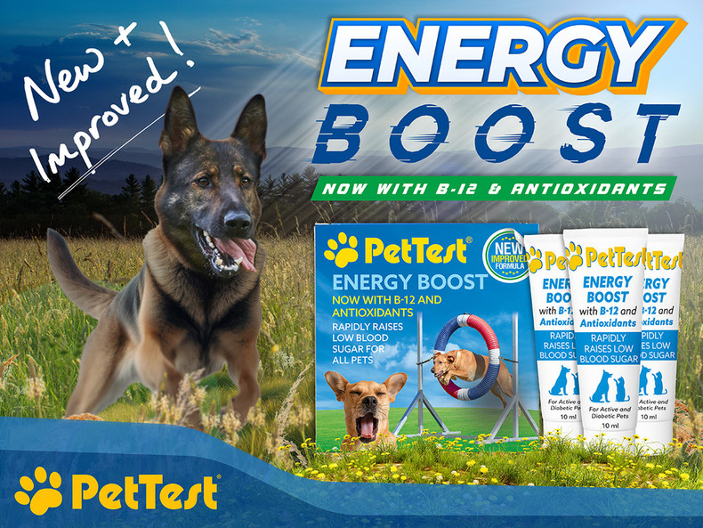Energy Boost for Pets